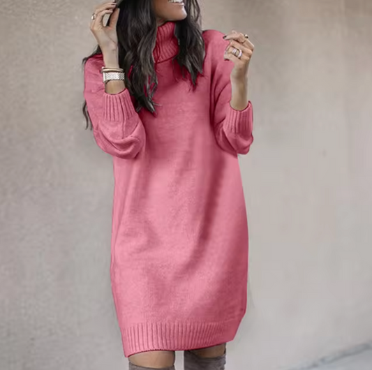 Women's Roll Neck Jumper Dress | Knee-Length Relaxed Fit